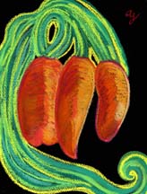 Pastel of 3 fat carrots by artist Angela Young
